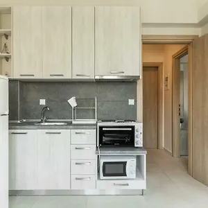 https://v-luxury-apartments.hotelschalkidiki.net